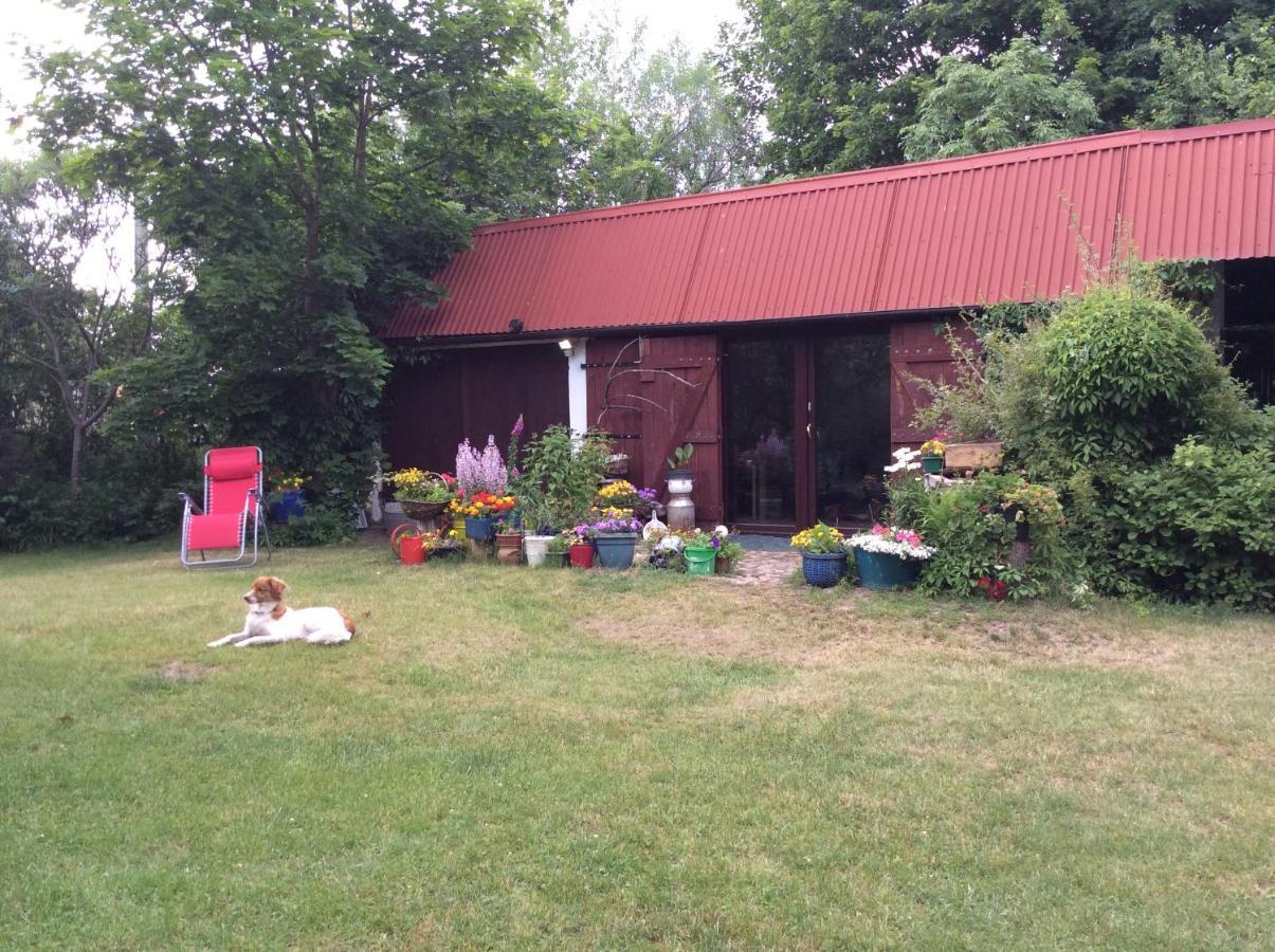 Bed and Breakfast Satnatorium Tuczno Exterior foto
